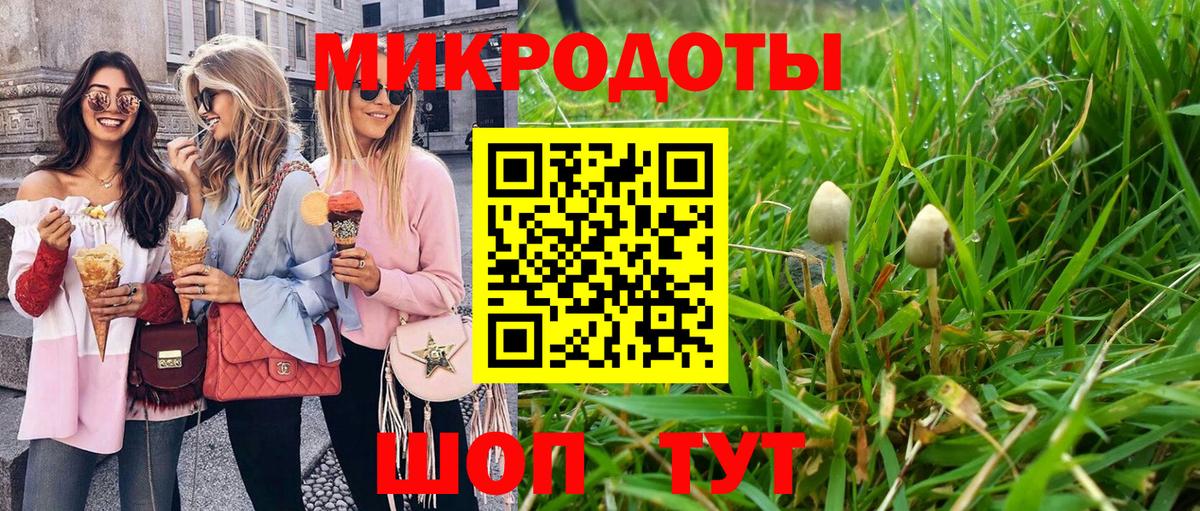 Галлюциногенные грибы Cubensis  Вход с VPN  Горно-Алтайск 