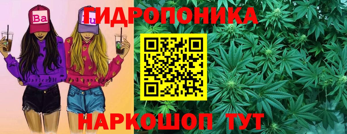 Бошки Шишки план Горно-Алтайск